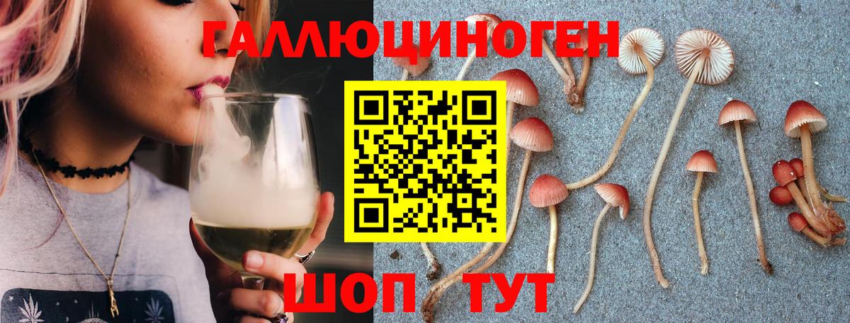 Галлюциногенные грибы MAGIC MUSHROOMS  Вход с VPN  Малоярославец 